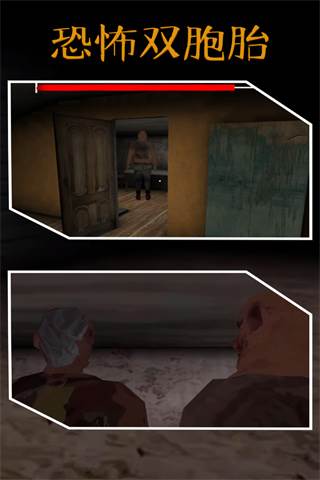 恐怖双胞胎游戏图片11