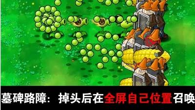 植物大战僵尸吃席版游戏图片7