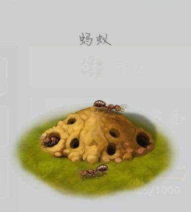 特殊建筑与地形说明配图11