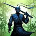 忍者战士无限金币版