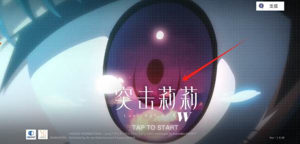 怎么选择中文配图1