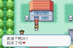 口袋妖怪火红386版图片4