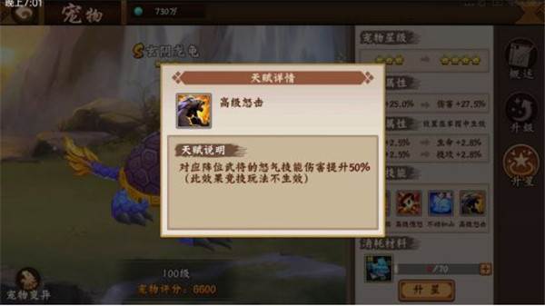 宠物培养及携带攻略配图3