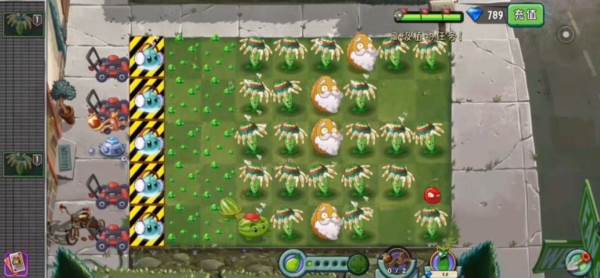 pvz2游戏5