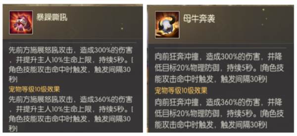 宠物系统介绍配图2