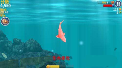 如何得高分配图2