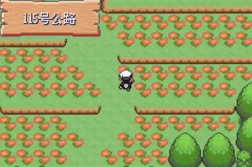 圆陆鲨在哪抓配图2