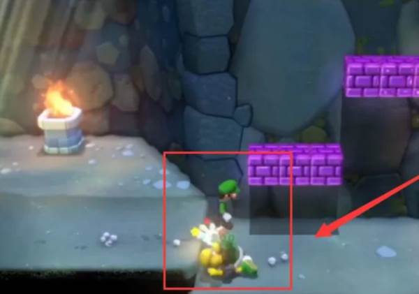 怎样拿龟壳配图2