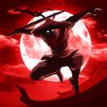 暗影骑士绝命旅途角色解锁版 Shadow Knight