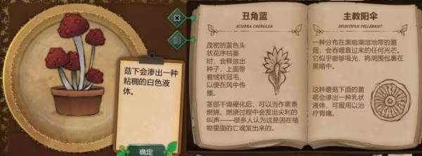 植物图鉴配图2
