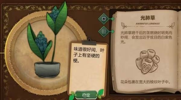 植物图鉴配图3