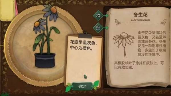 植物图鉴配图5