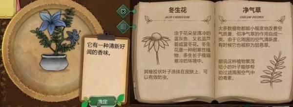 植物图鉴配图6