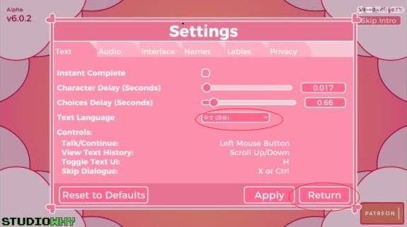 怎么设置中文配图3