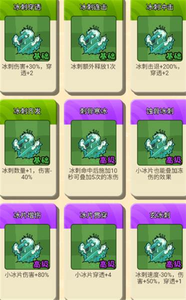 植物推荐配图6
