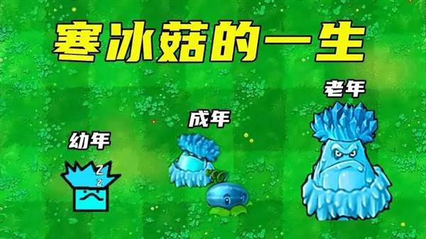 寒冰菇怎么获得配图1