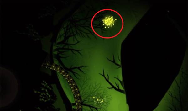 第二关孢子与森林通关攻略配图2