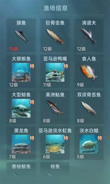 钓鱼赚钱方法配图3