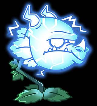 植物介绍—龙草三兄弟配图3