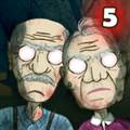 爷爷和奶奶5起源游戏 Granny and Grandpa 5 Origin