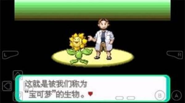 密码门密码是多少配图1