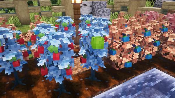 神兽刷新点配图1