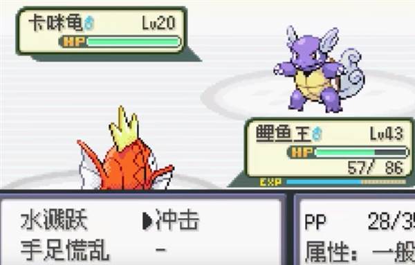 甲贺忍蛙配招配图1