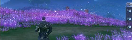 探索任务攻略配图2