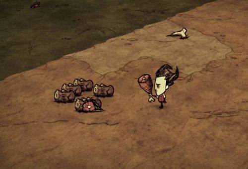 怎么去海滩配图4