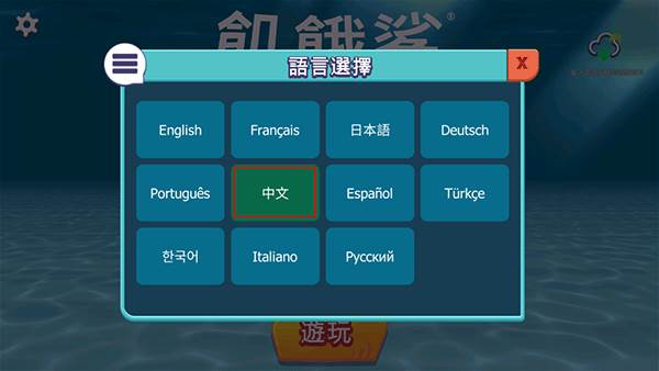 怎么设置中文配图3