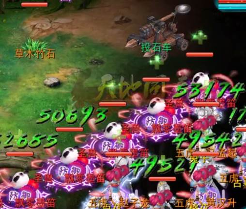 如何选择宠物配图1