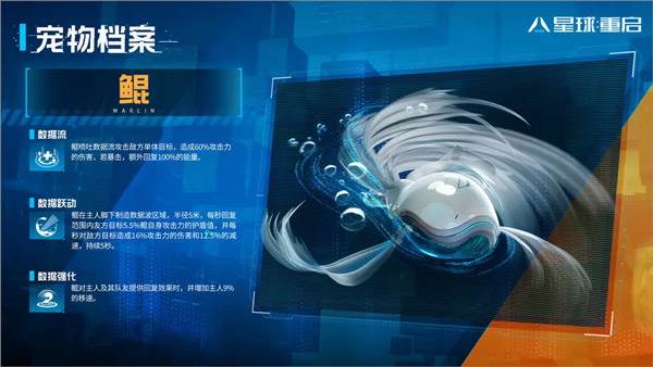 宠物介绍配图1