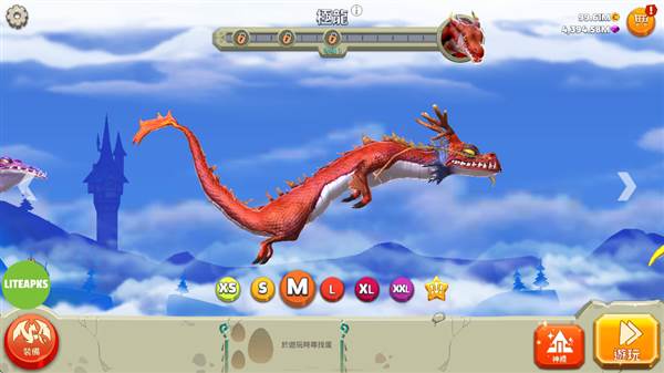 龙种类介绍配图6