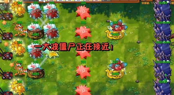 究极植物图鉴配图5