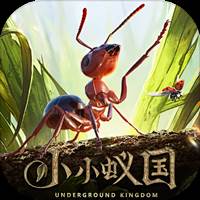 小小蚁国（极速发育版）