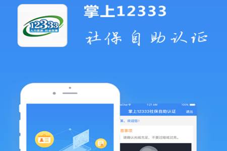 掌上12333 掌上12333