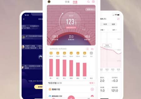 体重小本 体重小本