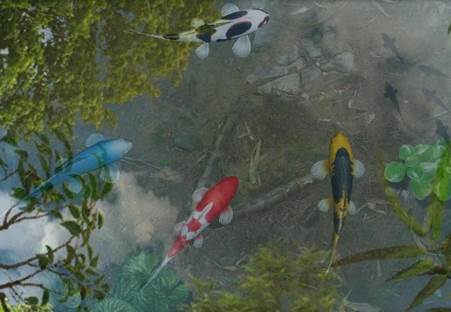 鱼池动态壁纸已付费版