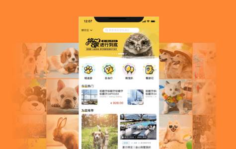 爱宠游app 爱宠游app