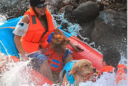 爱宠游app 爱宠游app