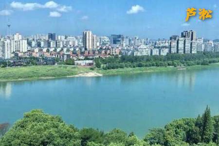 掌上芦淞APP 掌上芦淞APP