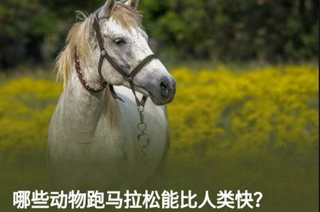 知乎日报app 知乎日报app