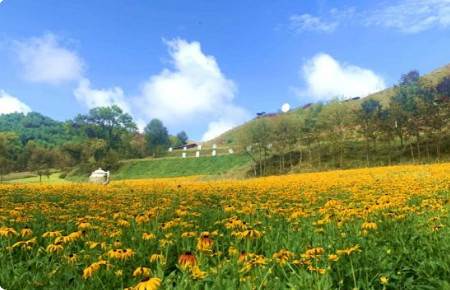 央广新闻中国之声 央广新闻中国之声