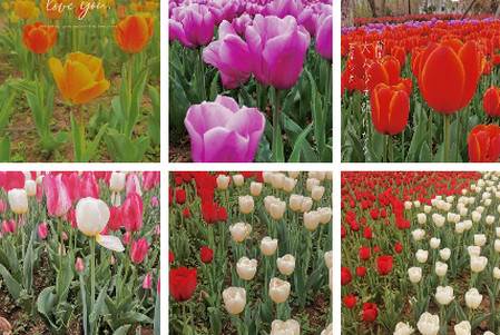 霍邱论坛app 霍邱论坛app