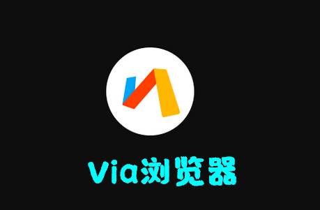 Via浏览器国内版
