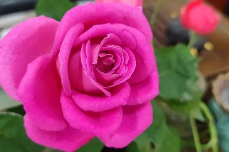 永年论坛客户端 永年论坛客户端