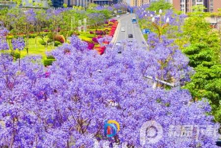 幸福东区app手机版 幸福东区app手机版