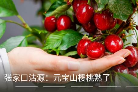 河山新闻app官方版