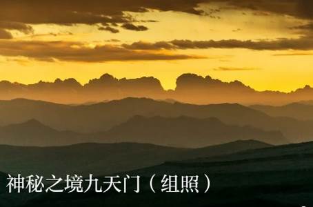 新卓尼app安卓版 新卓尼app安卓版