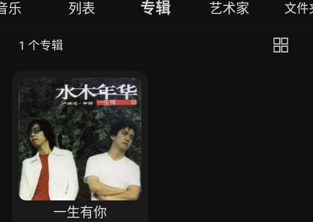 RPlayer本地音乐播放器 RPlayer本地音乐播放器